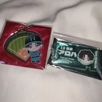 초특급 EVE 굿즈 알로하 세트