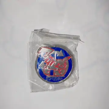 포켓몬 지역 핀즈 컬렉션 도쿄