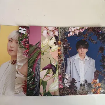 Da-iCE BILLION FLOWER GIFT 엽서