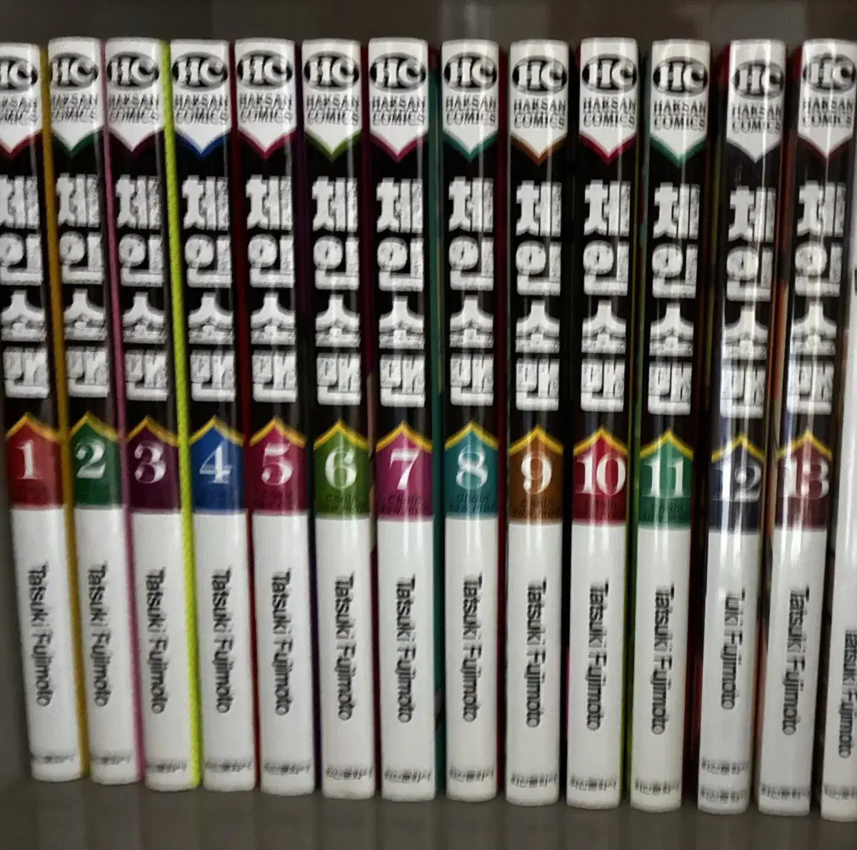 Chainsaw Man Volume 13 Bulk