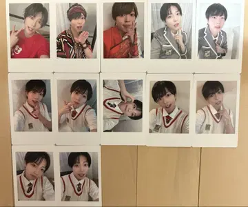팬더드래곤 파라곤 하피카