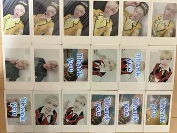 팬더 드래곤 파라곤 하피카 요타