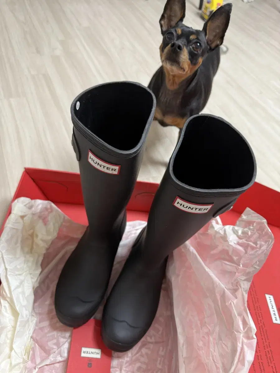 The rainy season continues until next week. Hunter Long Rain Boots Black 230 Full Box