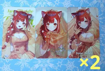니지산지 June Bride 카드 라트나 쁘띠 세트