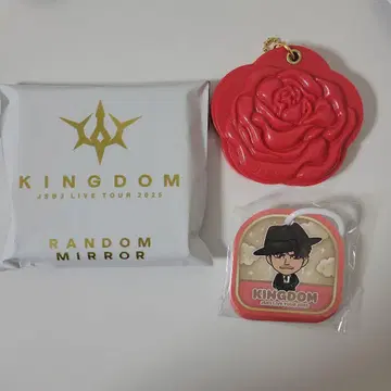 3대째 JSB 이마이치 류지 KINGDOM 로즈 슬라이드 거울