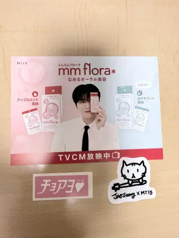 제준 MiiS 스티커 2장 전단지