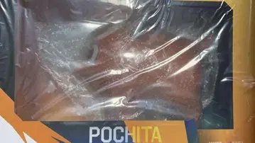 포치타 포징 피규어 1/1