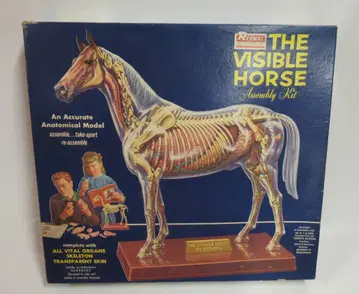 RENWAL THE VISIBLE HORSE ASSEMBLY KIT