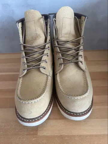 레드윙 8833 6인치 클래식 모크