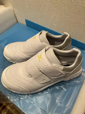 미즈노 안전화