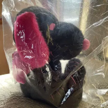 신주쿠 한정판 블랙 스누피