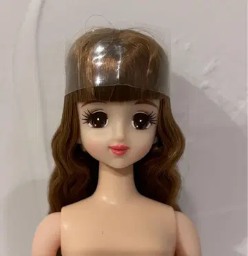 초대 제니 오타즈미 인형