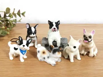 프렌치 불독 세트
