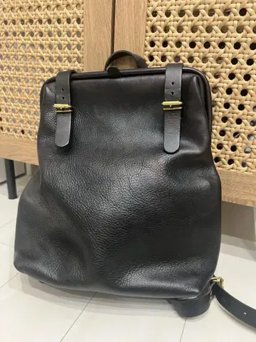 헤르츠 백팩