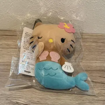 일광화상 키티