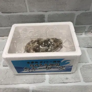 M3149 재미있는 잡화 키 케이스 [미개봉]