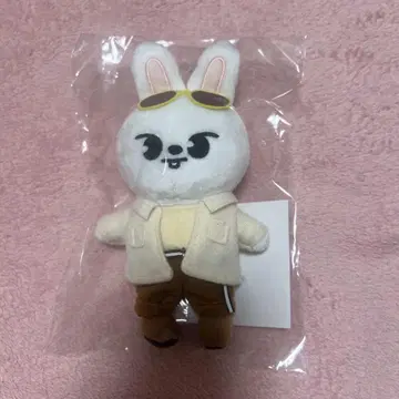 straykids Lee 비트 백참