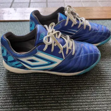 Umbro 풋살, 축구화 파랑 19.0cm