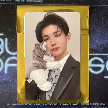 &TEAM 트레이딩 카드 조 타워 레코드 럭키 드로우