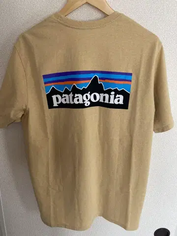Patagonia 남성용 P-6 로고 스폰시빌리티 M 베이지