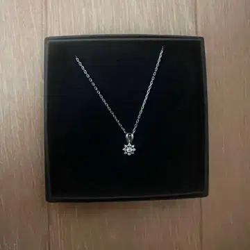 SILVER SNOW SnowMan