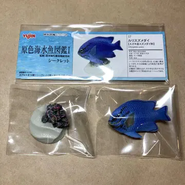 유진 원색 해수어 도감 I 시크릿 루리스즈메다이