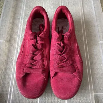 중고 푸마 스웨이드 25cm