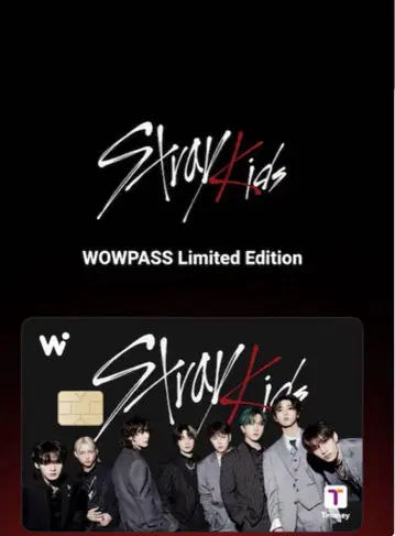 스트레이 키즈 WOWPASS 한정판