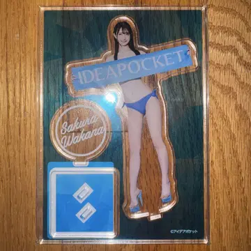 아이포케 캠페인 2024 사쿠라 와카나 C상 아크릴 스탠드 C-2