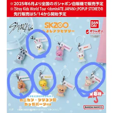 메지루시 액세서리 SKZOO 4세트
