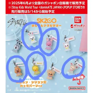 메지루시 액세서리 SKZOO 5개 세트
