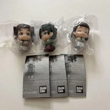 기다림 고양이 고양이 코란 코란