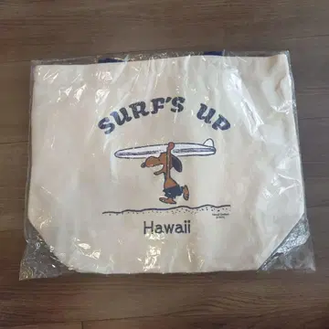 일광화상 스누피 surfs up 백 Hawaii 키링 덤