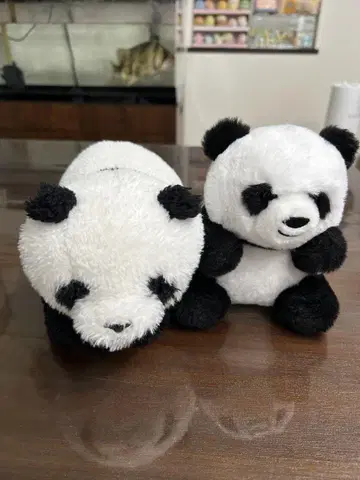 팬더 봉제 인형