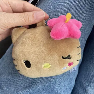 헬로키티 봉제 인형 일광화상 거울