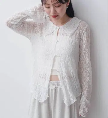 kastane 카라 레이스 풀오버