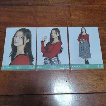 이노우에 카즈 브로마이드 대감사제 2024 하운드투스 체크 컴프 노기사카