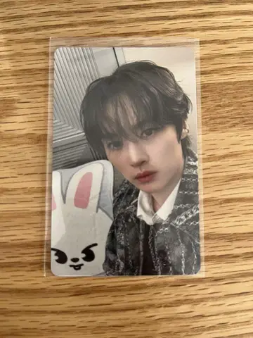 Straykids 흠집 자이언트 오프라인 이벤트 리노