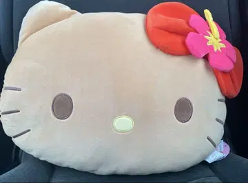 일광화상 키티 쿠션 시마무라 키티