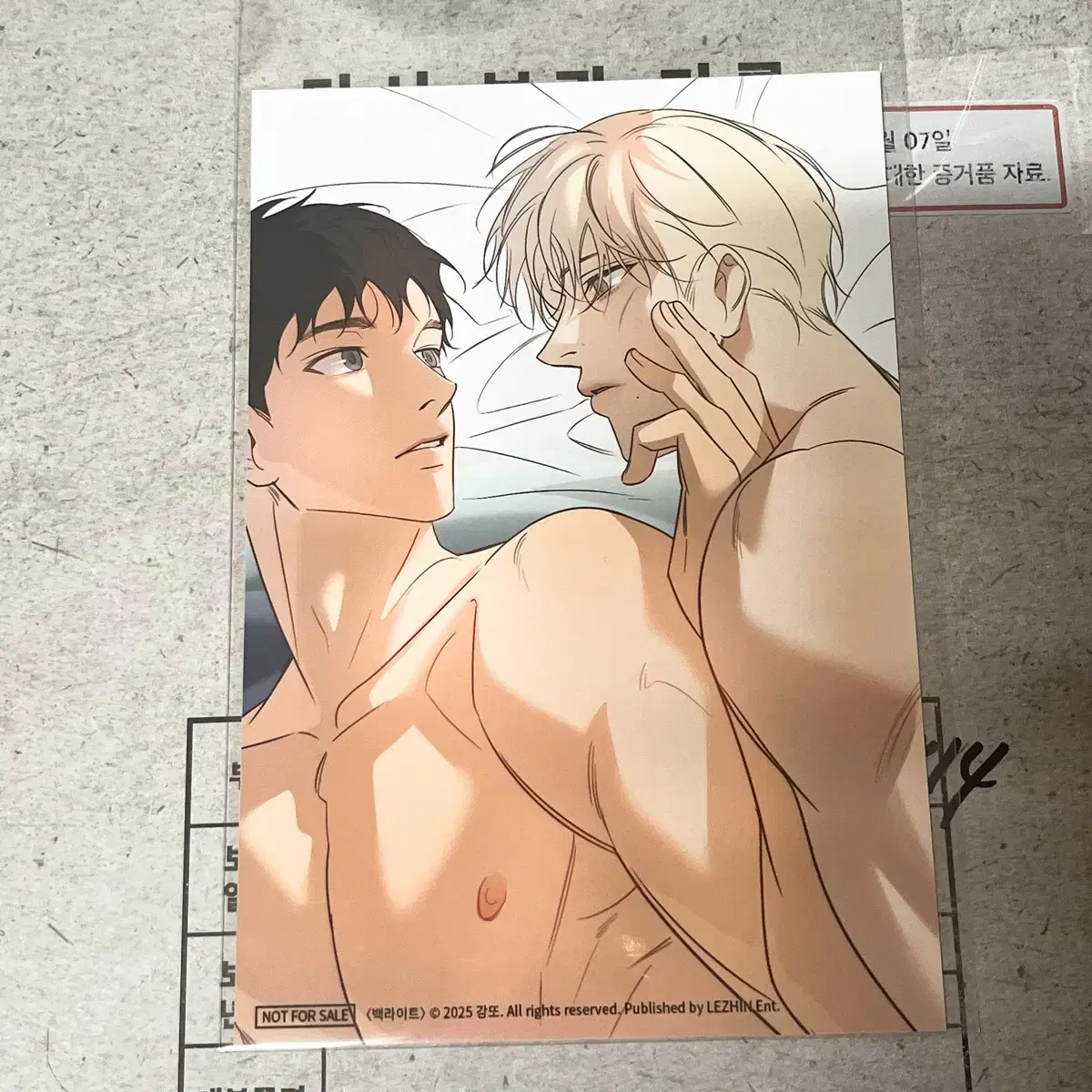 韓国BL Bomtoon タイ限定backlight バックライト ハン・ソイン 韓国BL Bomtoon タイ限定backlight バックライト ハン・ソイン 韓国