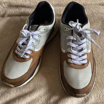 새상품급 콜맨 로우 컷 스니커즈 실버 경적 26cm