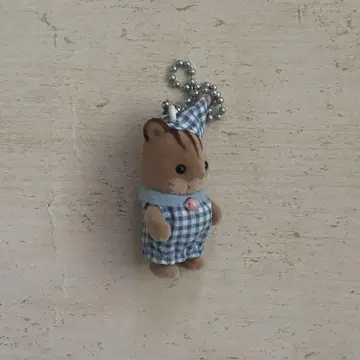 실바니아 다람쥐 키링