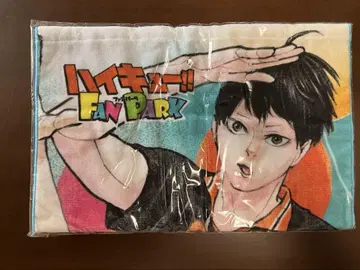 하이큐 팬 파크 타월