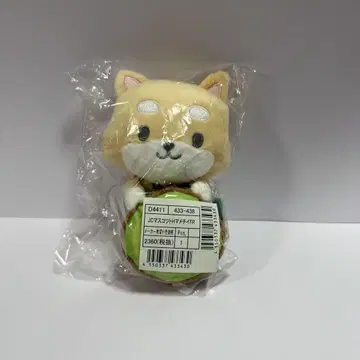 조츄마 메마치