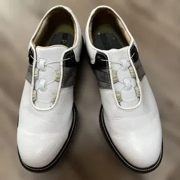 풋조이 남성용 골프화 25cm
