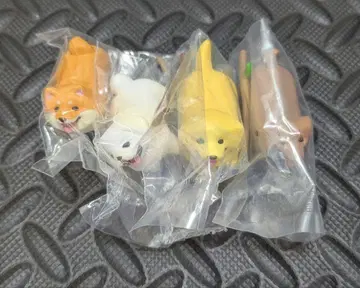 멋진 막대기를 겟한 개 4종 (코기 제외)