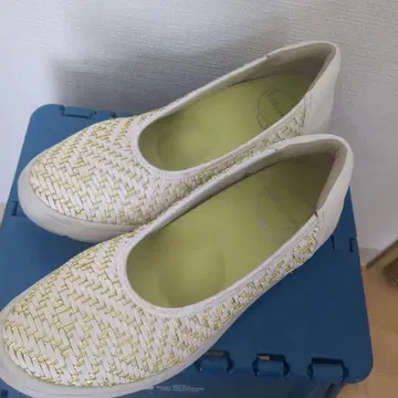 fit fit 핏핏 25cm