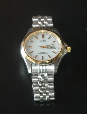 6658 CITIZEN Eco-Drive E100 솔라 파워 워치