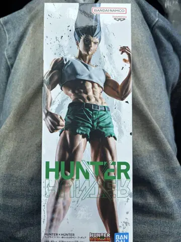 HUNTER x HUNTER 곤 프릭스 피규어