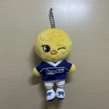 StrayKids 포가리 백 참 JYP 팝업 SKZOO 인형